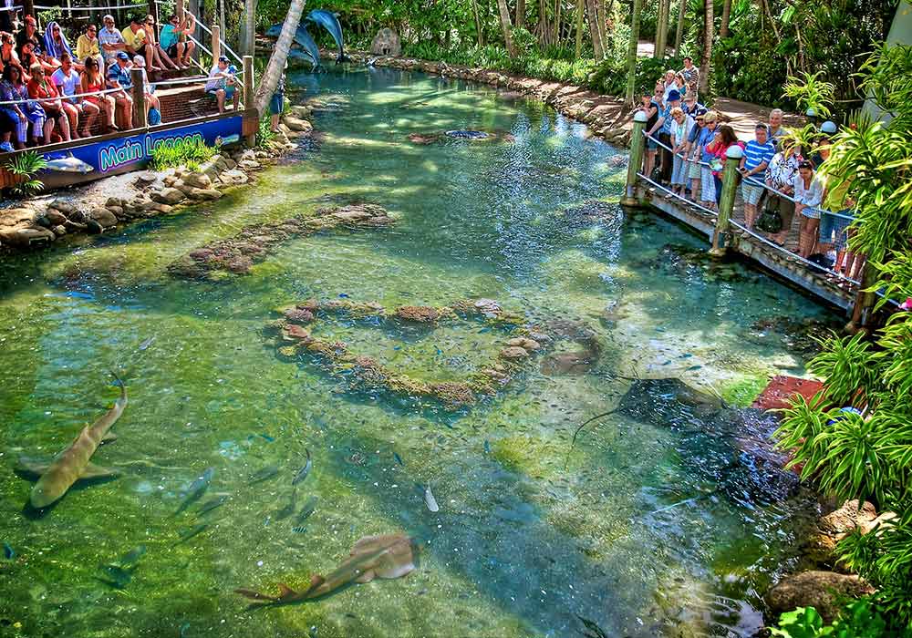 Daydream Island Resort 