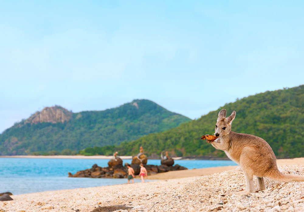 Daydream Island Resort 