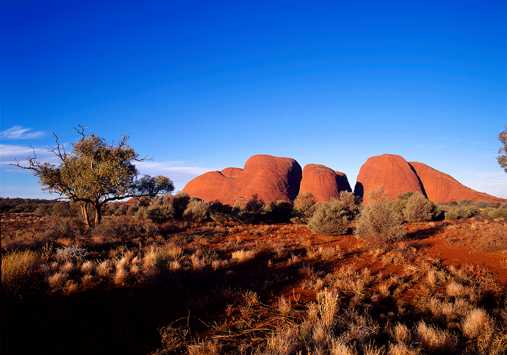  Australiens röda ökenlandskap och de kupolformade bergen The Olgas i Ayers Rock.