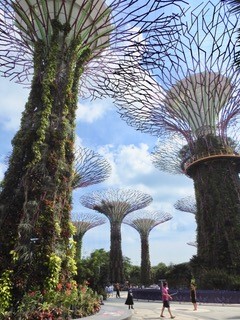 Konstgjroda träd i Singapores Cloud Forest