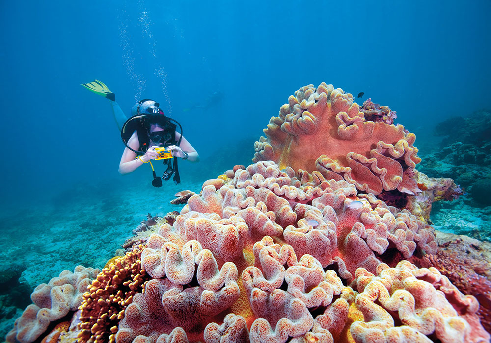 Scuba Diving, Fitzroy Reef Lagoon, Great Barrier Reef, QLD. Bild: Tourism and events Queenland