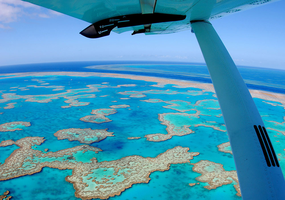 Great Barrier Reef, QLD. Bild: Tourism whitsundays