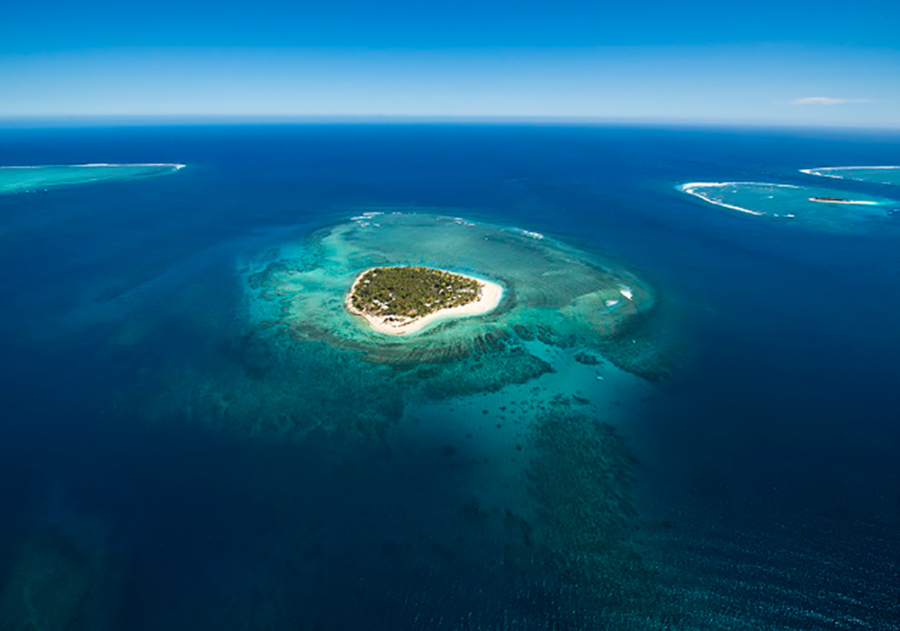 Fiji Island 