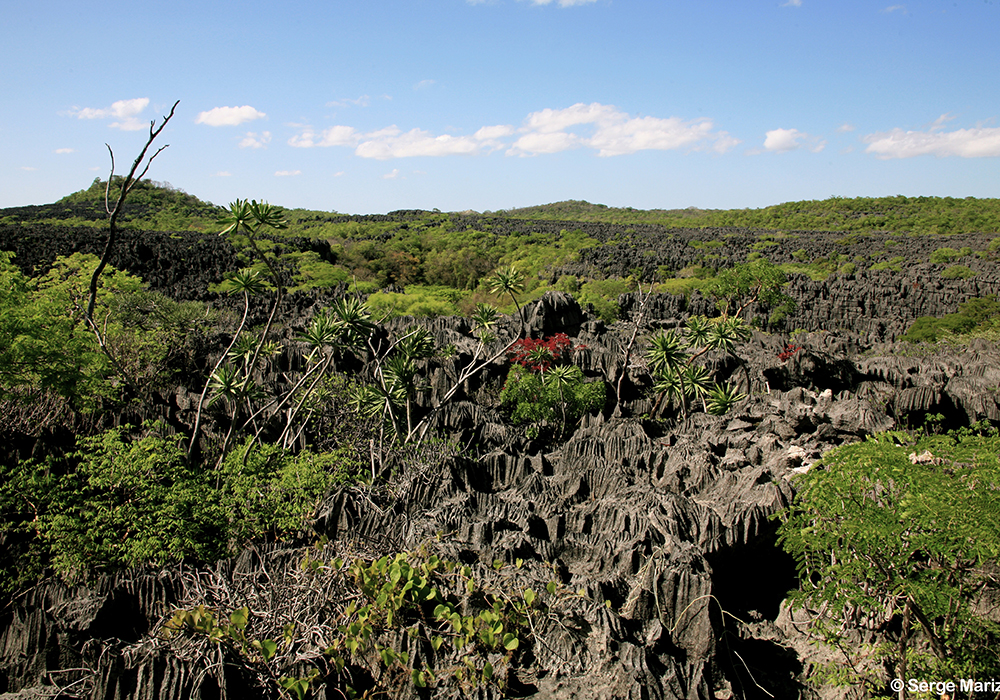 Madagaskar. Ankarana national park .Tsingy forest.  Bild: Serge Maria 