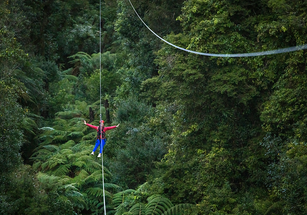 Rotorua. Canopy Tours. Bild:  Miles Holden