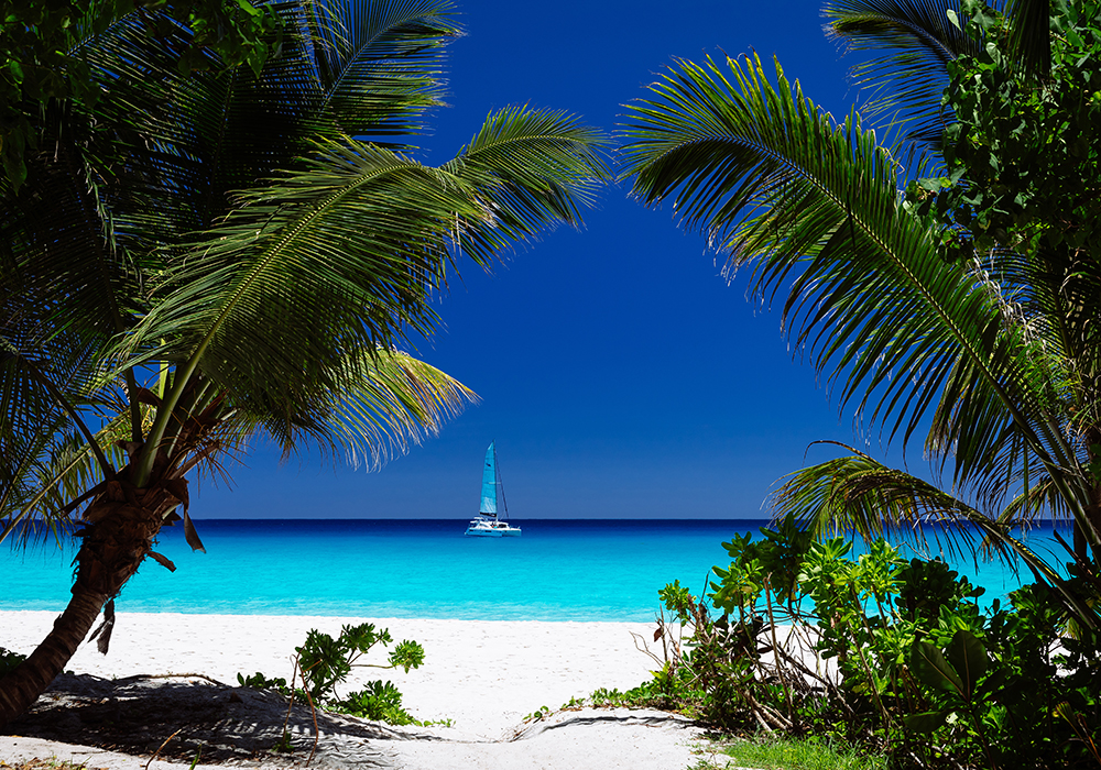 Seychellerna. Anse Georgette Bild: Torsten Dickmann