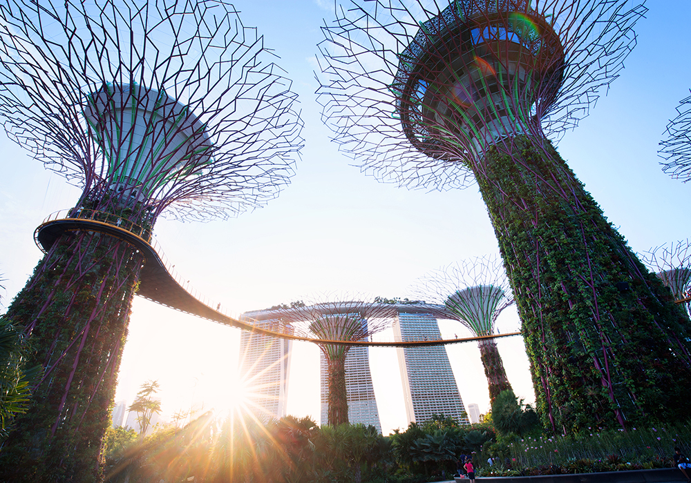 Singapore. G by the Bay Supertrees Grove