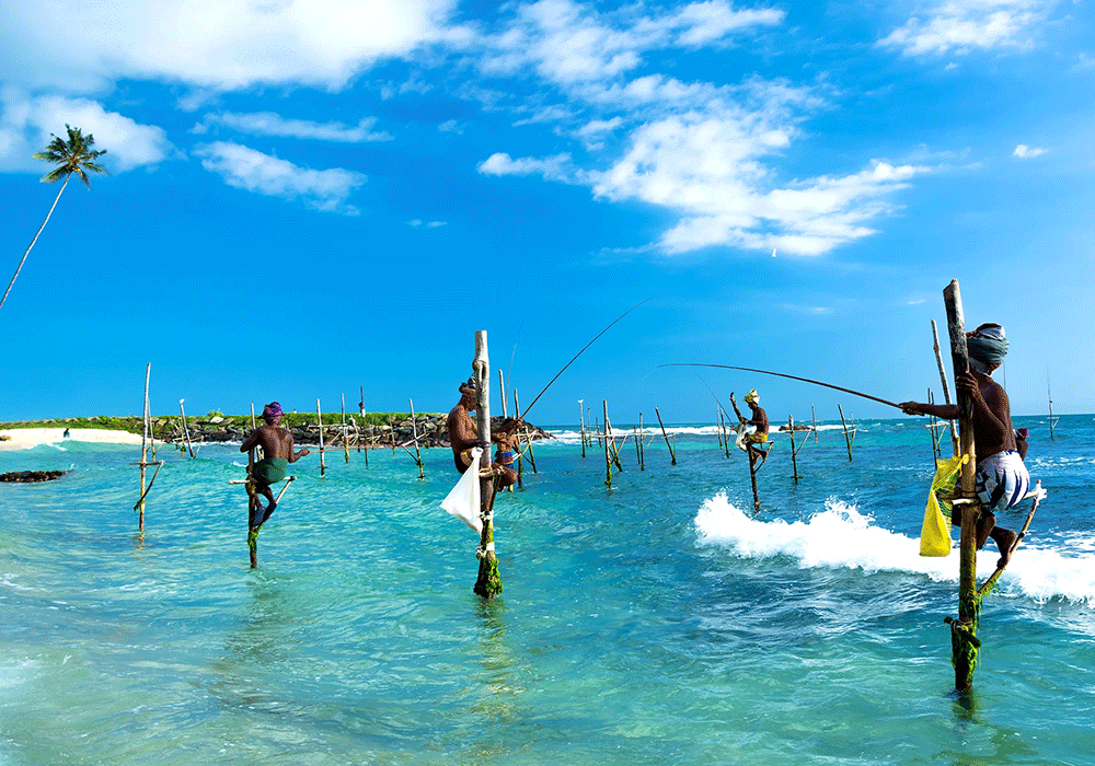 Fiskare på styltar i havet, ett traditionellt sätt att fiska på i Sri Lanka 