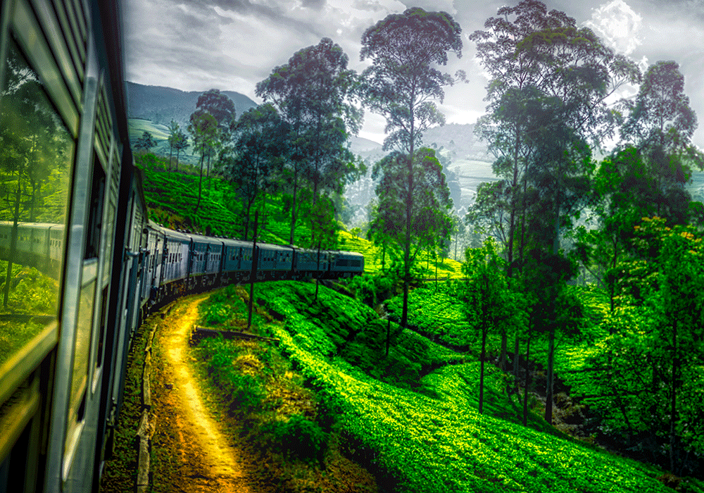 Sri Lanka. Bild Ella Nuwara. Eliya Train.